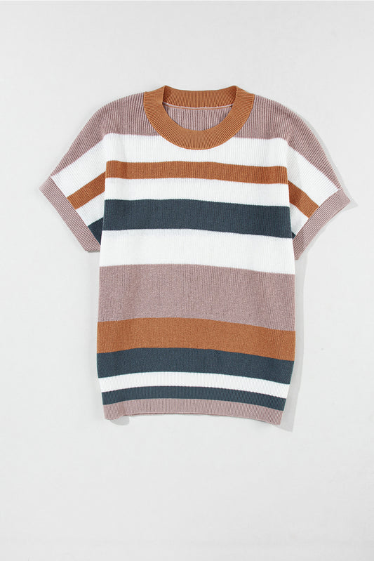 Camel Striped Knit Crew Neck T Shirt Sweater - PrizQ