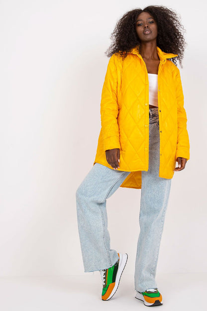  jasje model 170576 Rue Paris 